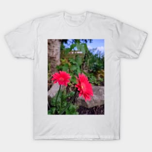 Garvinia Flowers (Gerbera) T-Shirt